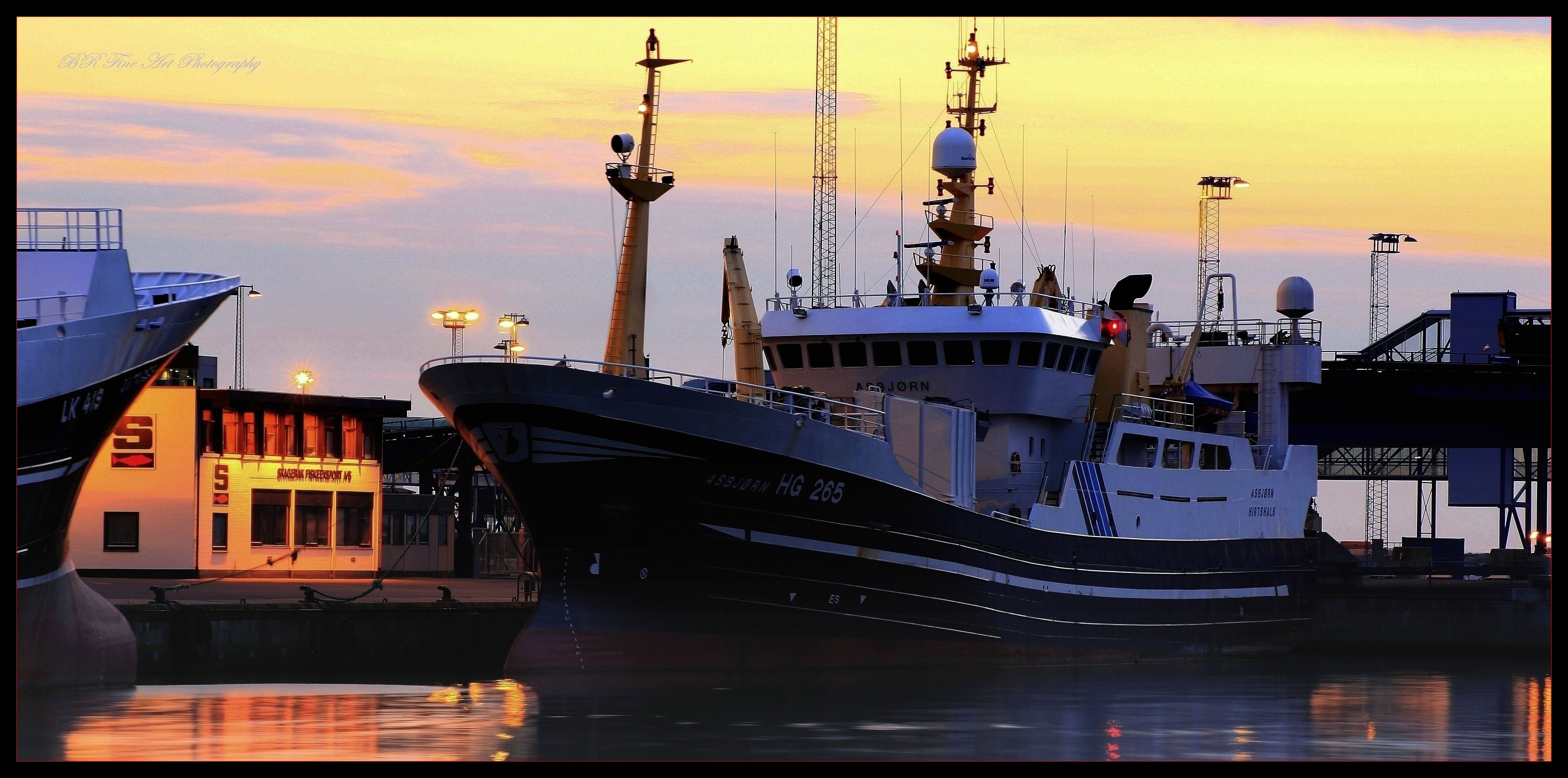 Asbørn---Hirtshals.jpg